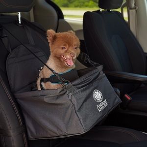 Dog Car Seat